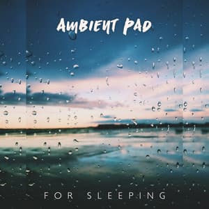 Ambient Pad for Sleeping: Relaxation Mood, Deep Sleeping, Ambience Sound - Total Relax Music Ambient