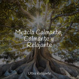 Mezcla Calmante, Calmante y Relajante - Dormir e Meditar