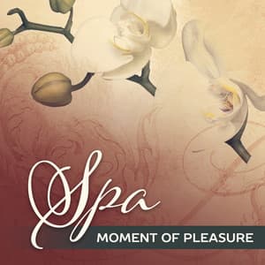 Spa Moment of Pleasure - Spa Music Zone
