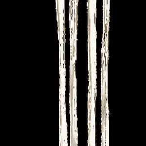 Drums and Drones: Decade, Vol. 1 - Brian Chase