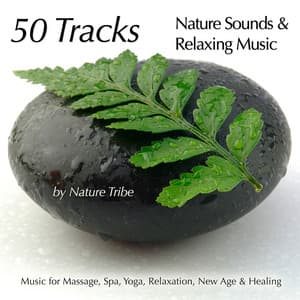 50 Tracks: Nature Sounds & Relaxing Music For Massage, Spa, Yoga, Relaxation, New Age & Healing - Nature Tribe