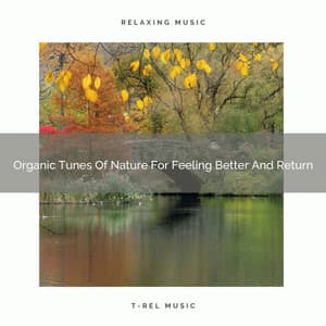 Organic Tunes Of Nature For Feeling Better And Return - The Ocean Waves Sounds