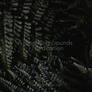 A Soothing Sounds | Meditation - Exam Study Classical Music