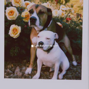 癒しの犬のハーモニー - Coffeehouse Jazz