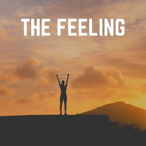 The Feeling - Ambient Music Therapy