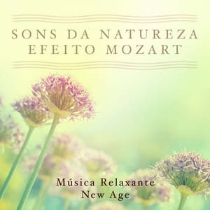Musica Relaxante New Age - Sons da Natureza, Efeito Mozart - Mind Entrainment Doctor