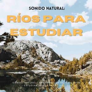 Sonido Natural: Ambientación De Ríos Para Estudiar Por La Tarde Vol. 1 - Llamada de la naturaleza