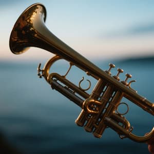 Orchestra Sounds for Baby's Calm - Miguel Johnson