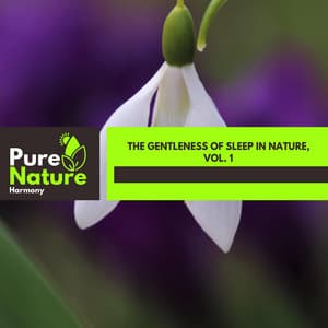 The Gentleness of Sleep in Nature, Vol. 1 - Nature Field Recordings