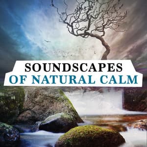 Soundscapes of Natural Calm - Soundscapes