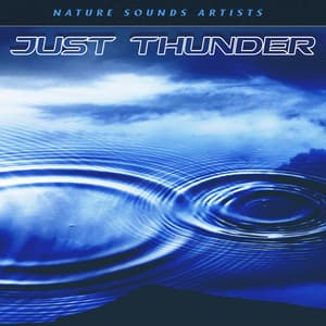 Just Thunder - Nature Sounds Artists