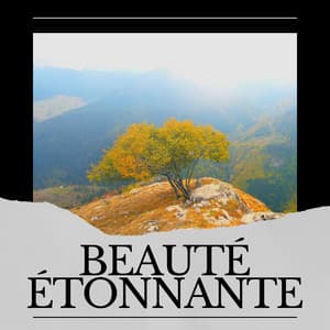 Beauté Étonnante - Nature Sounds - Sons de la nature