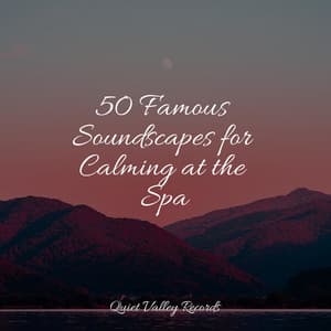 50 Famous Soundscapes for Calming at the Spa - Sleeping Music