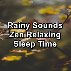 Rainy Sounds Zen Relaxing Sleep Time - Binaural Beats Deep Sleep