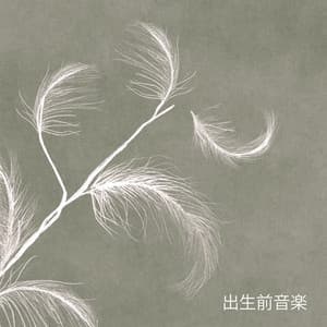 出生前音楽：妊娠中の女性のためのリラックスしたアンビエント音楽 - 妊娠中のための音楽のアカデミー