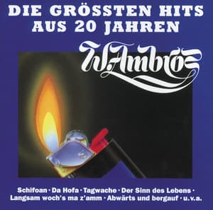 Die Grossten Hits Aus 20 Jahren - Wolfgang Ambros