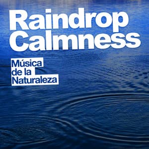 Raindrop Calmness - Música de la Naturaleza