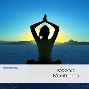 Moonlit Meditation: Evening Yoga Calm - Yoga Society
