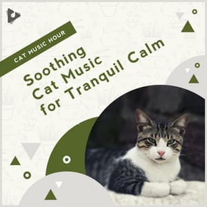 Soothing Cat Music for Tranquil Calm - Cat Music Hour