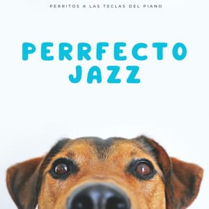 Perrfecto Jazz: Perritos A Las Teclas Del Piano - Restaurante Jazz Clásicos