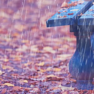 Tranquil Rain Focus Meditation: Theta Waves - Sounds of Rain