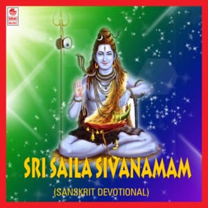 Sri Saila Sivanamam - Parupalli Ranganath