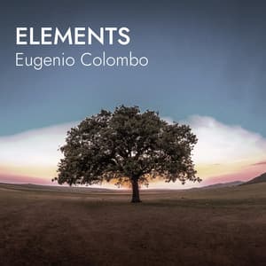 ELEMENTS - Eugenio Colombo