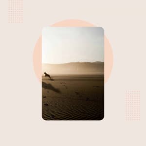 Self Care Days - Jazz Afternoons