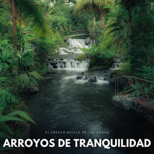 Arroyos De Tranquilidad: El Fresco Relajo De Las Aguas - Camino del agua