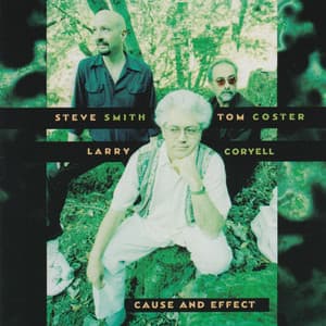 Cause and Effect - Steve Smith