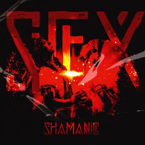 Shamanic Act - Pat McKenneth