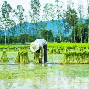 Efficient Raindrops: Binaural Work Oasis Tranquility - Thunderive