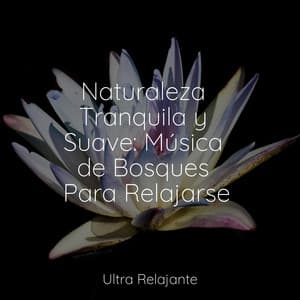 Naturaleza Tranquila y Suave: Música de Bosques Para Relajarse - Sueño Lucido