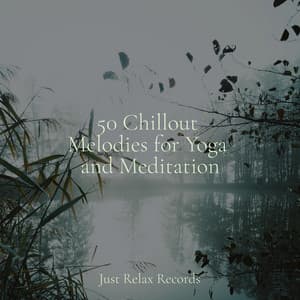 50 Chillout Melodies for Yoga and Meditation - Binaural Beats Brainwave Entrainment