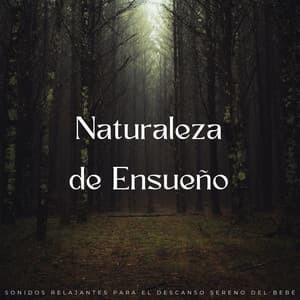 Naturaleza De Ensueño: Sonidos Relajantes Para El Descanso Sereno Del Bebé - Música Ambiente