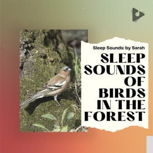 Sleep Sounds of Birds in the Forest - Sleep Sounds: by Sarah