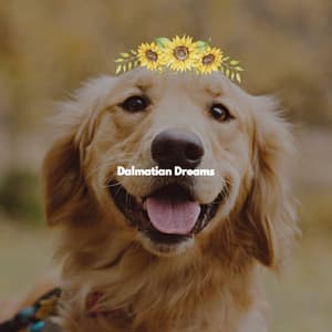 Dalmatian Dreams - Night Time Jazz Moods