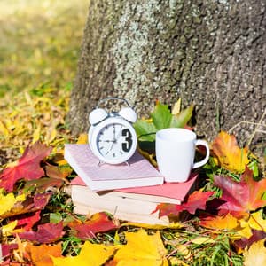 Morning Echoes: Soothing Alarm Tones for a Peaceful Start - Mary Woodland