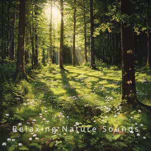 Tranquil Nature: Peaceful Soundscapes - Relaxing Nature Sounds
