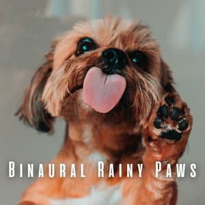 Binaural Rainy Paws: Theta Waves for Relaxing Pet Experience - Rainy Day Music