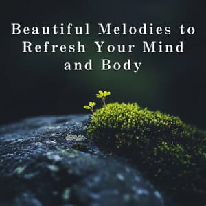 Beautiful Melodies to Refresh Your Mind and Body - Relaxing BGM Project