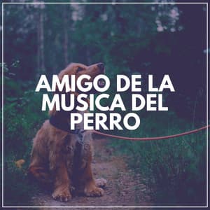 Amigo de la Música del Perro - Mascotas tranquilas