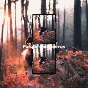 Parque para perros - Jazz for Work