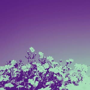 Ambiance for Coffee Rewind - Happy Morning Music