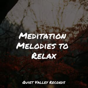 Meditation Melodies to Relax - Kinderlieder-Superstar