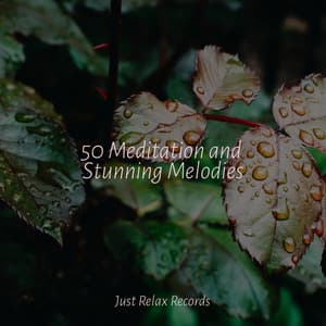 50 Meditation and Stunning Melodies - Sleepy Night Music
