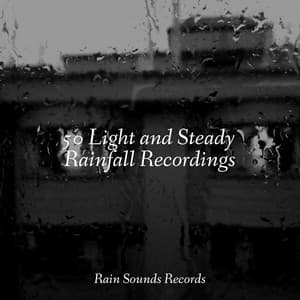 50 Light and Steady Rainfall Recordings - Nature Sounds