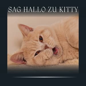 Sag Hallo zu Kitty - Katzenmusik