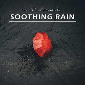 Sounds for Concentration: Soothing Rain - Background Noise From TraxLab