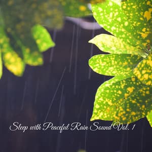 Sleep with Peaceful Rain Sound Vol. 1 - Natural Rain for Baby Sleep